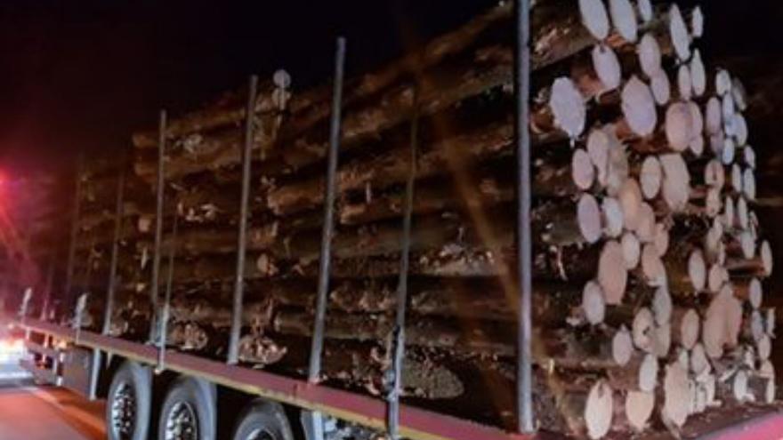 Un tráiler transportaba 58 toneladas de madera, un exceso del 145%