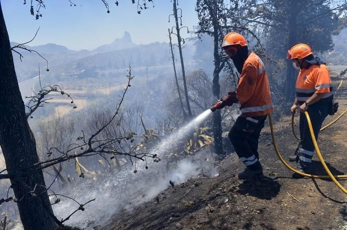 Incendio en la zona de Llano Grande