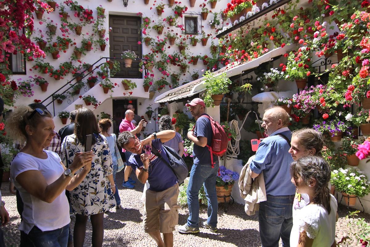 Fotogalería / Empieza el Concurso de Patios Cordobeses