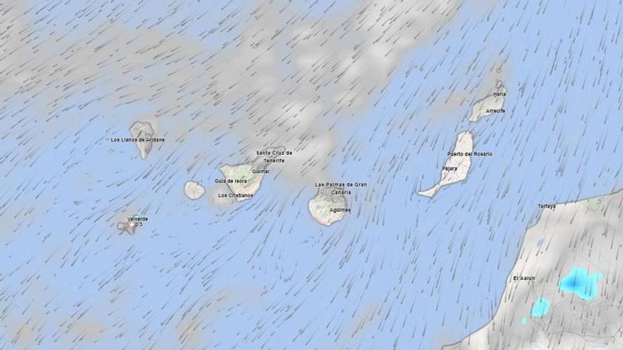 Aemet Issues Wind Warning for Canary Islands as Gusts Strengthen