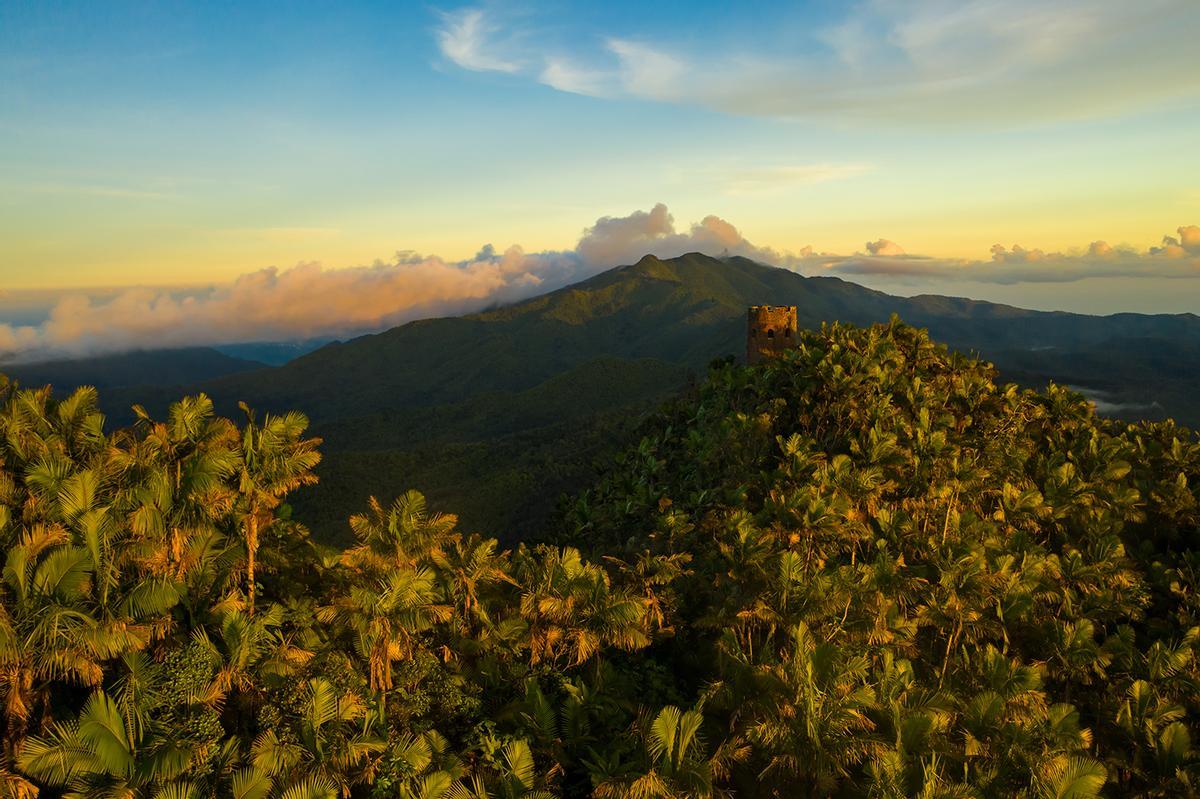 Bosque tropical El Yunque