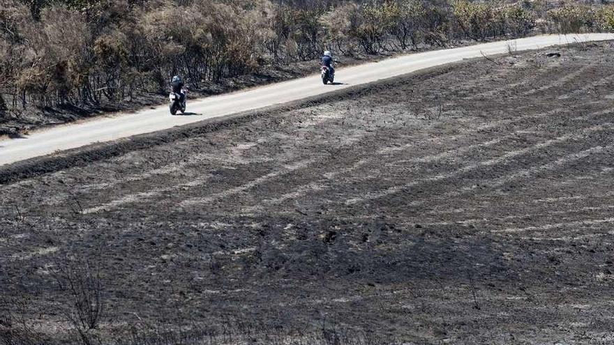 Superficie arrasada por el incendio en Verín.