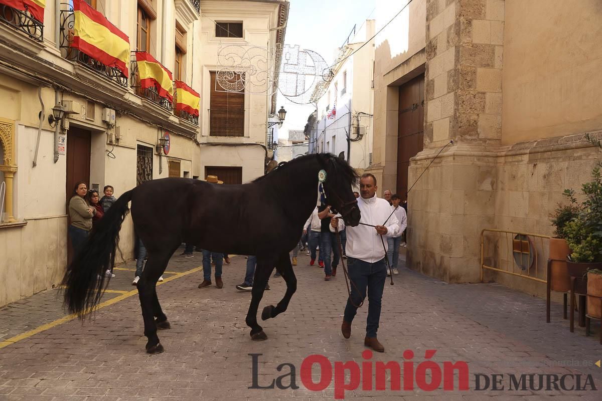 Concurso de caballo a pelo: pasacalles hasta el Hoyo en Caravaca