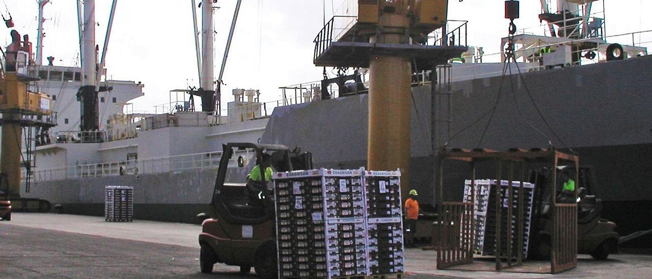 Un instante de la carga de palés de tomates canarios para su exportación en el Puerto de Las Palmas. | |