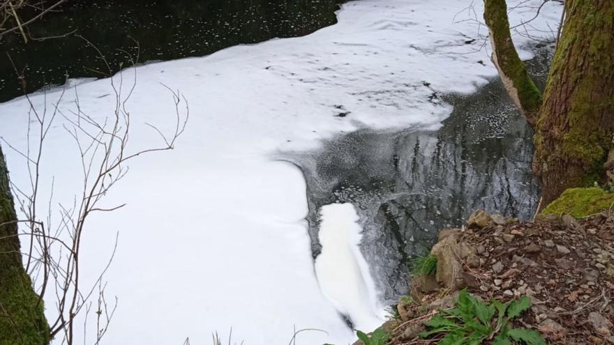 El cauce del río Asneiro cubierto de espuma, por un vertido de Botos, en marzo del año pasado.