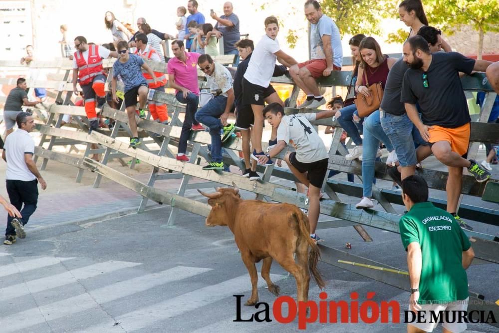 Encierro 'pequeño' en Calasparra