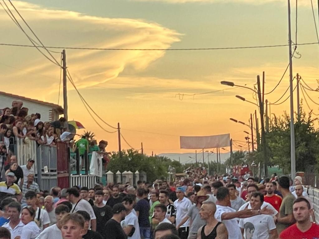 'Bou en corda' en Santa Bárbara