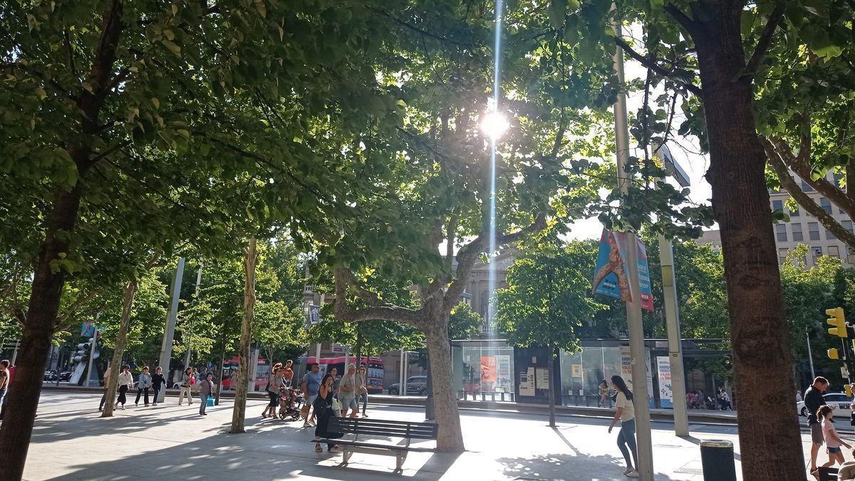 Rayos de sol se cuelan en la plaza Aragón