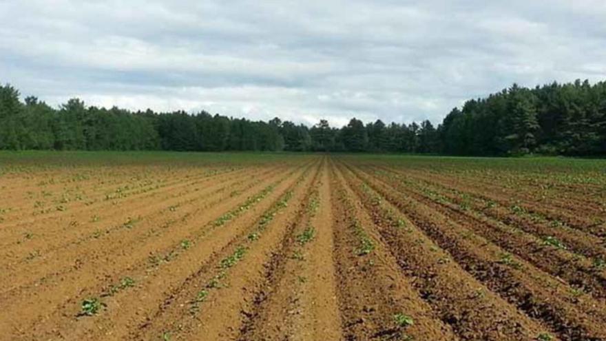 Un estudi alerta que la salut sector agrari de la Vall d’en Bas és dolent i pot anar a pitjor