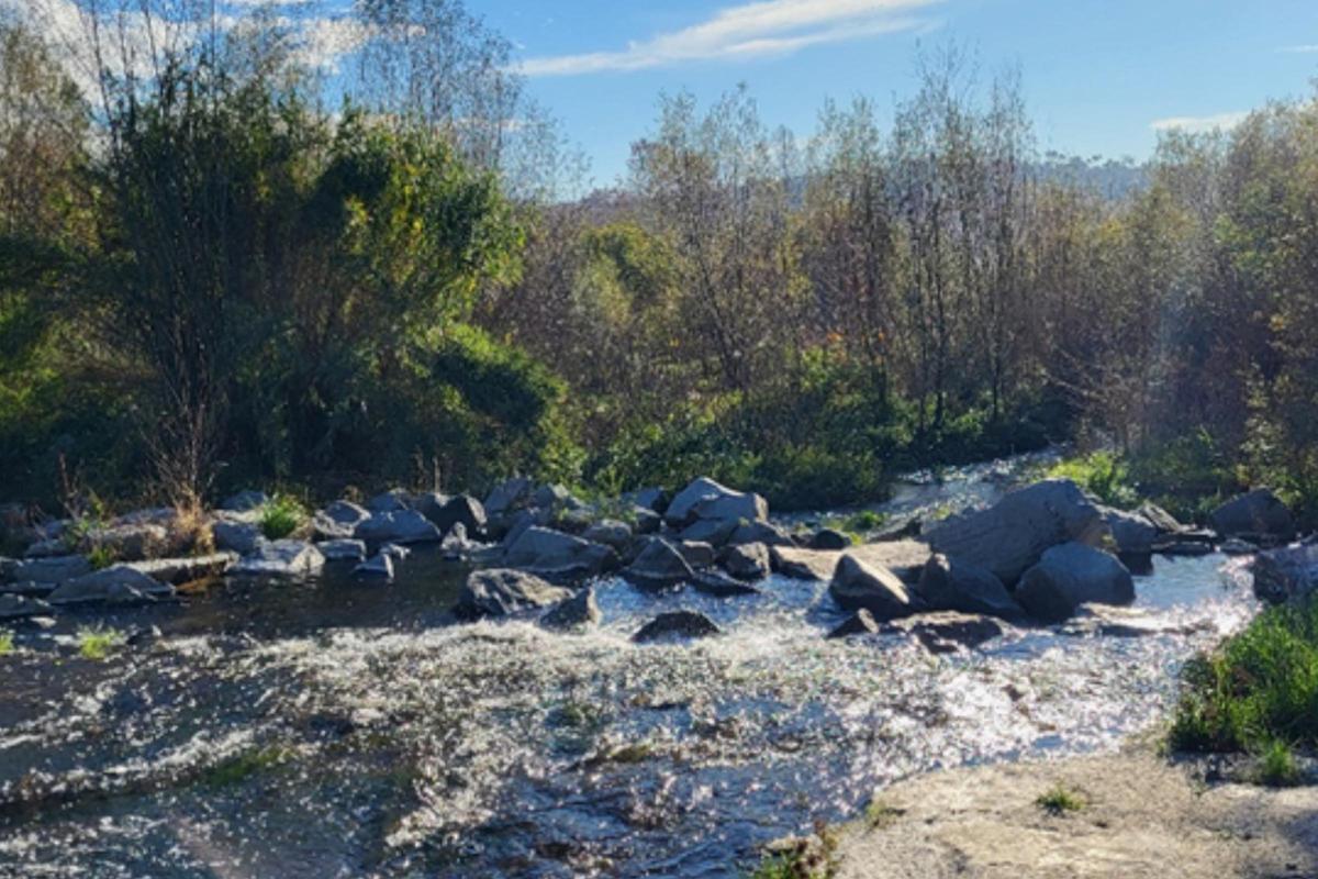 La Tordera, a la zona on es farà l'actuació