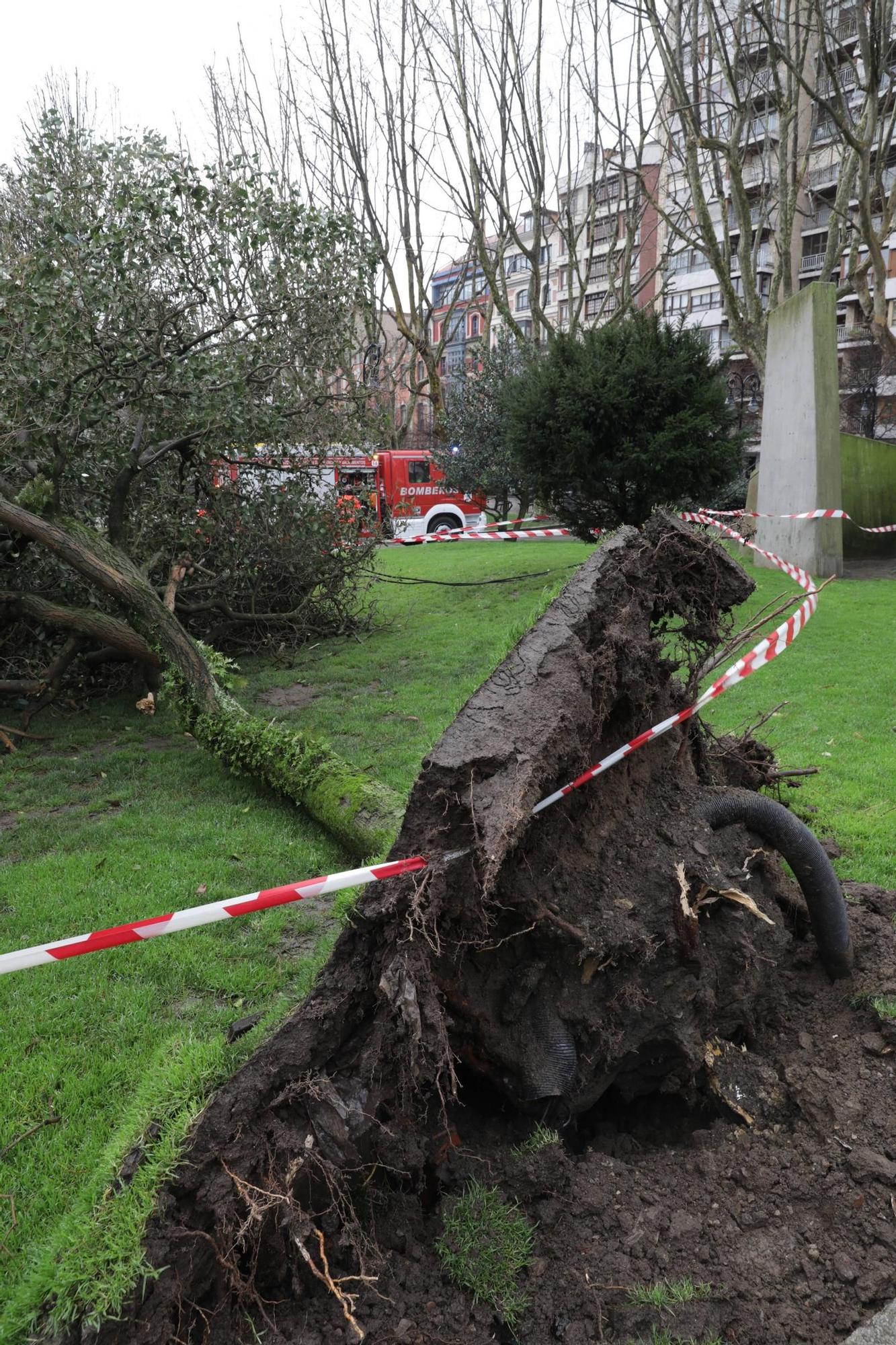 Los efectos de la "tormentona" en Gijón (en imágenes)