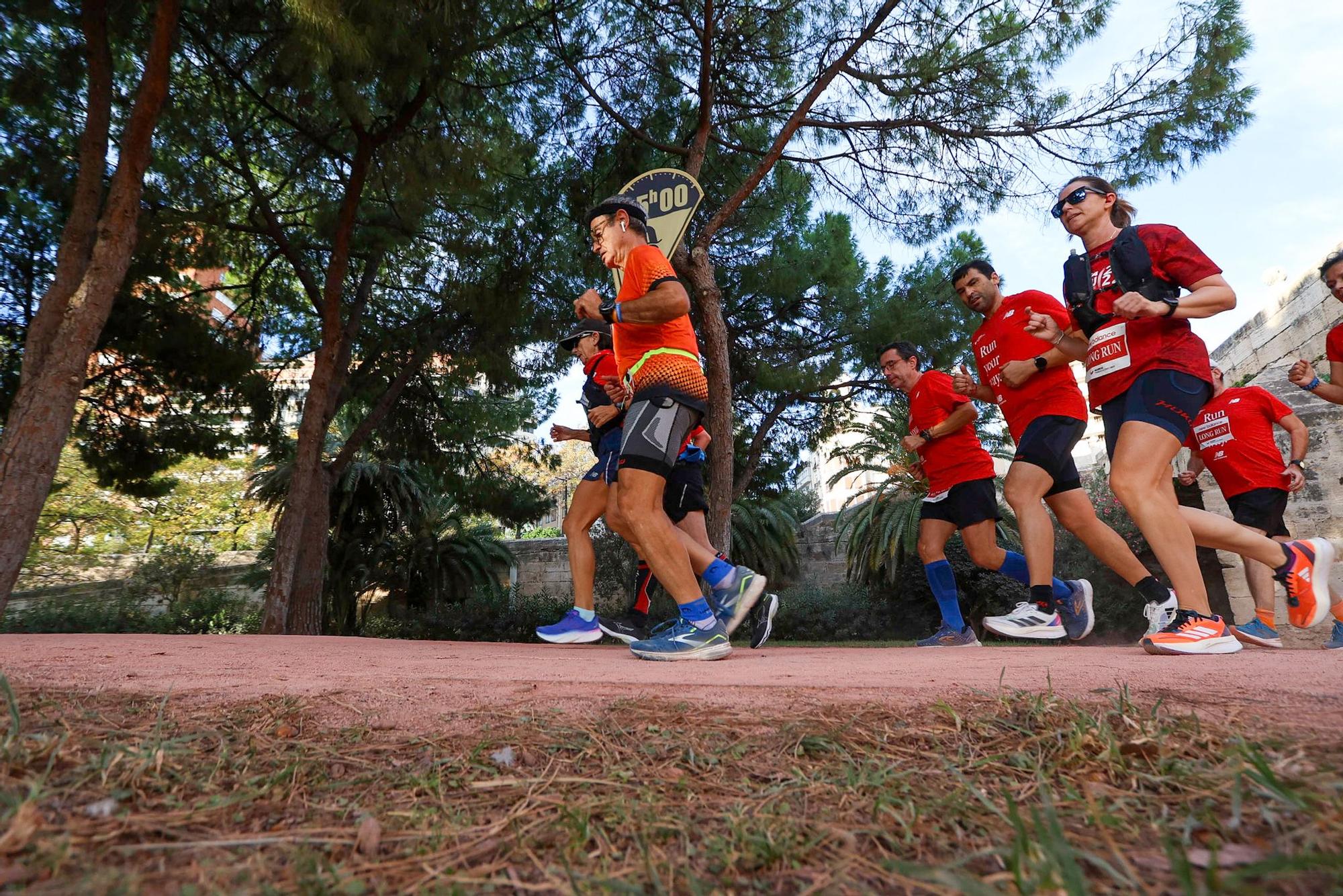 Entrenamiento long Run New Balance previo a la Maratón de Valencia