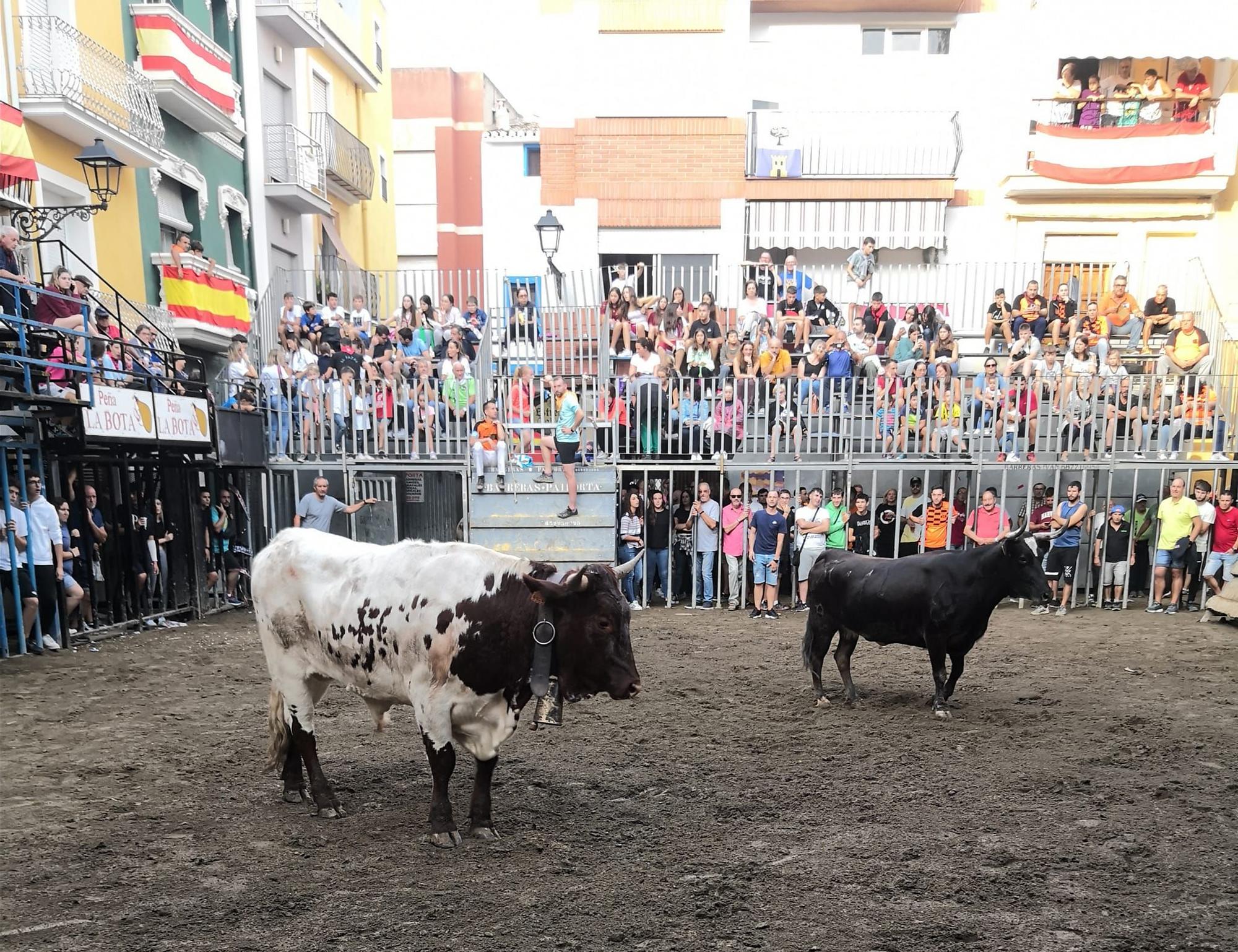 Navajas despide su semana taurina