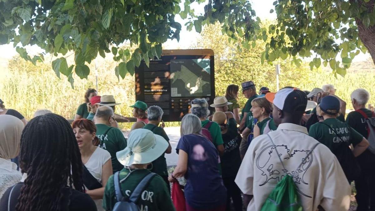 Oliva impulsa la salud y la naturaleza con un nuevo itinerario saludable en el parque natural