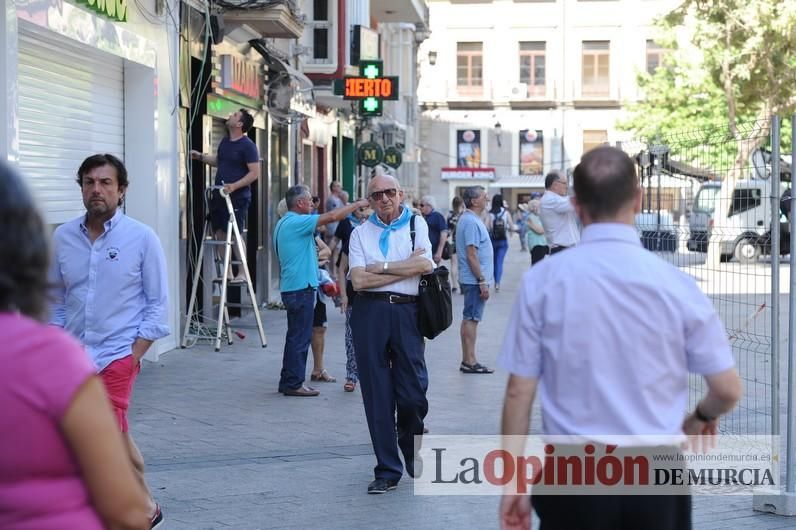 El día después de la caída de la rama del ficus de