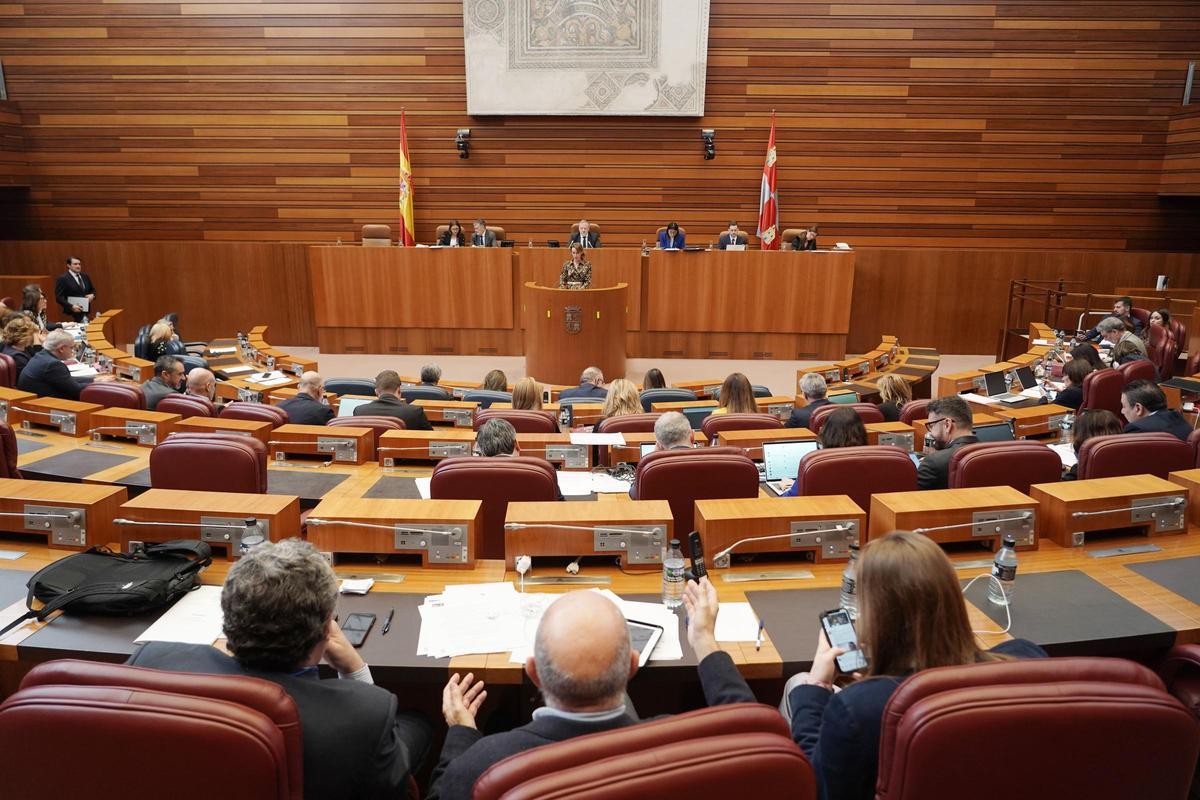 Pleno de las Cortes de Castilla y León
