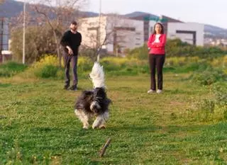 El número de mascotas se dispara en Córdoba mientras cae la natalidad