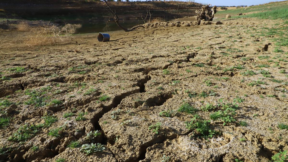 Imagen de las consecuencias de la sequía en el pantano embalse de Sierra Boyera