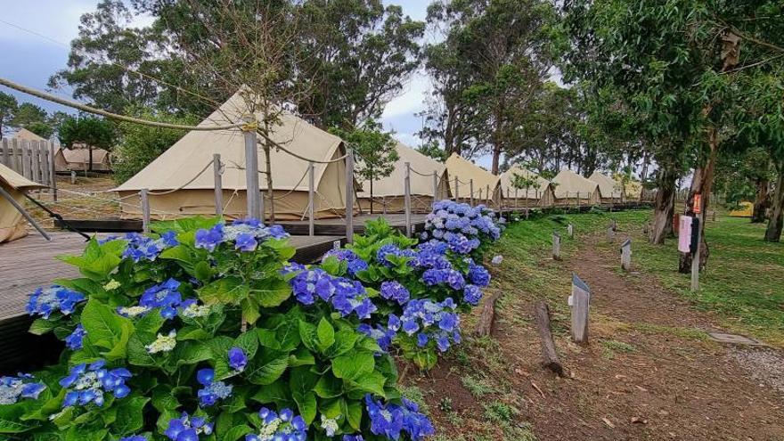 La evolución del camping, un sector en auge