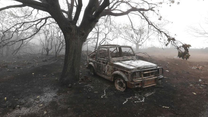 Un vehículo quemado por el incendio de Gran Canaria