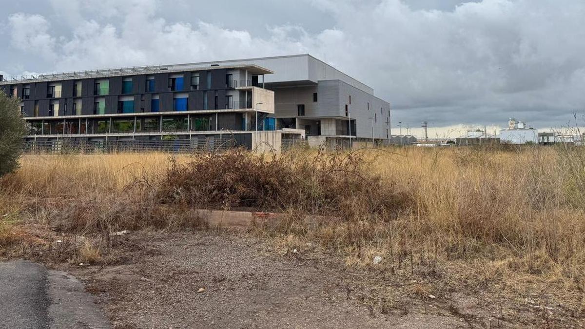 Imatge dels terrenys on es pretén construir la pista d'atletisme, al costat del centre de tecnificació esportiva de Vila-real.