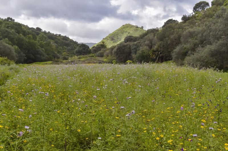 Maretas de El Román, San Lorenzo