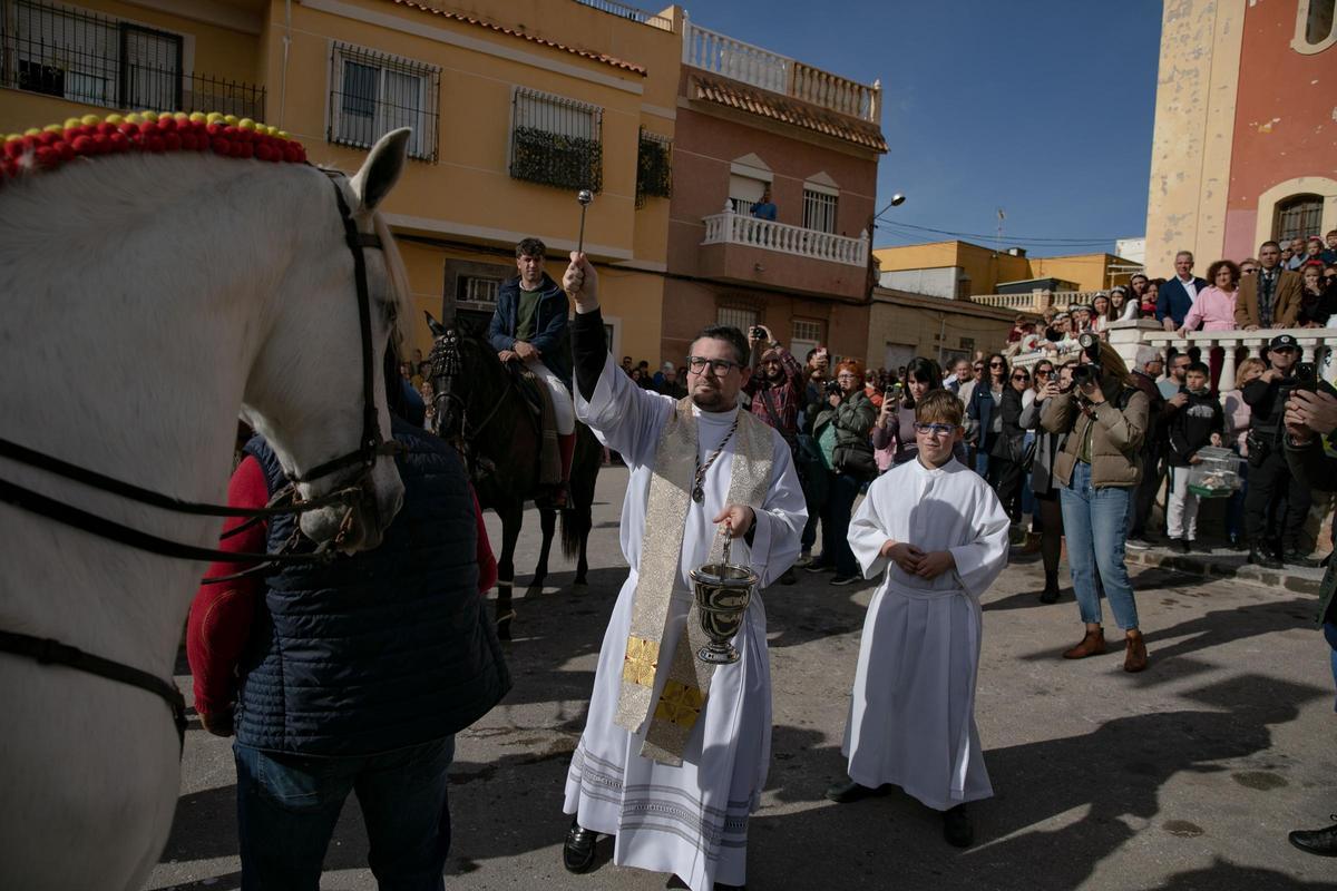 Así ha sido la celebración de San Antón en Cartagena