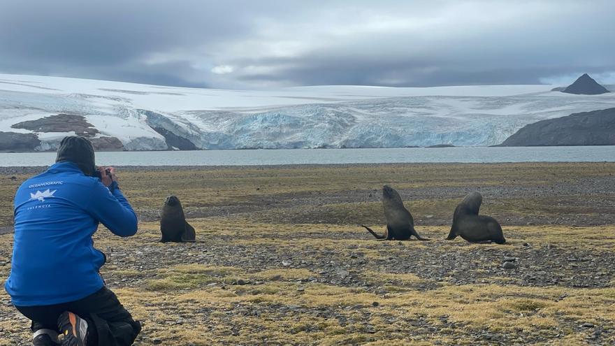 El Ocenanogràfic investiga cómo se adaptan los mamíferos al cambio climático en la Antártida