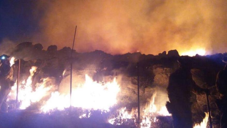 Agentes forestales trabajan para controlar las llamas.