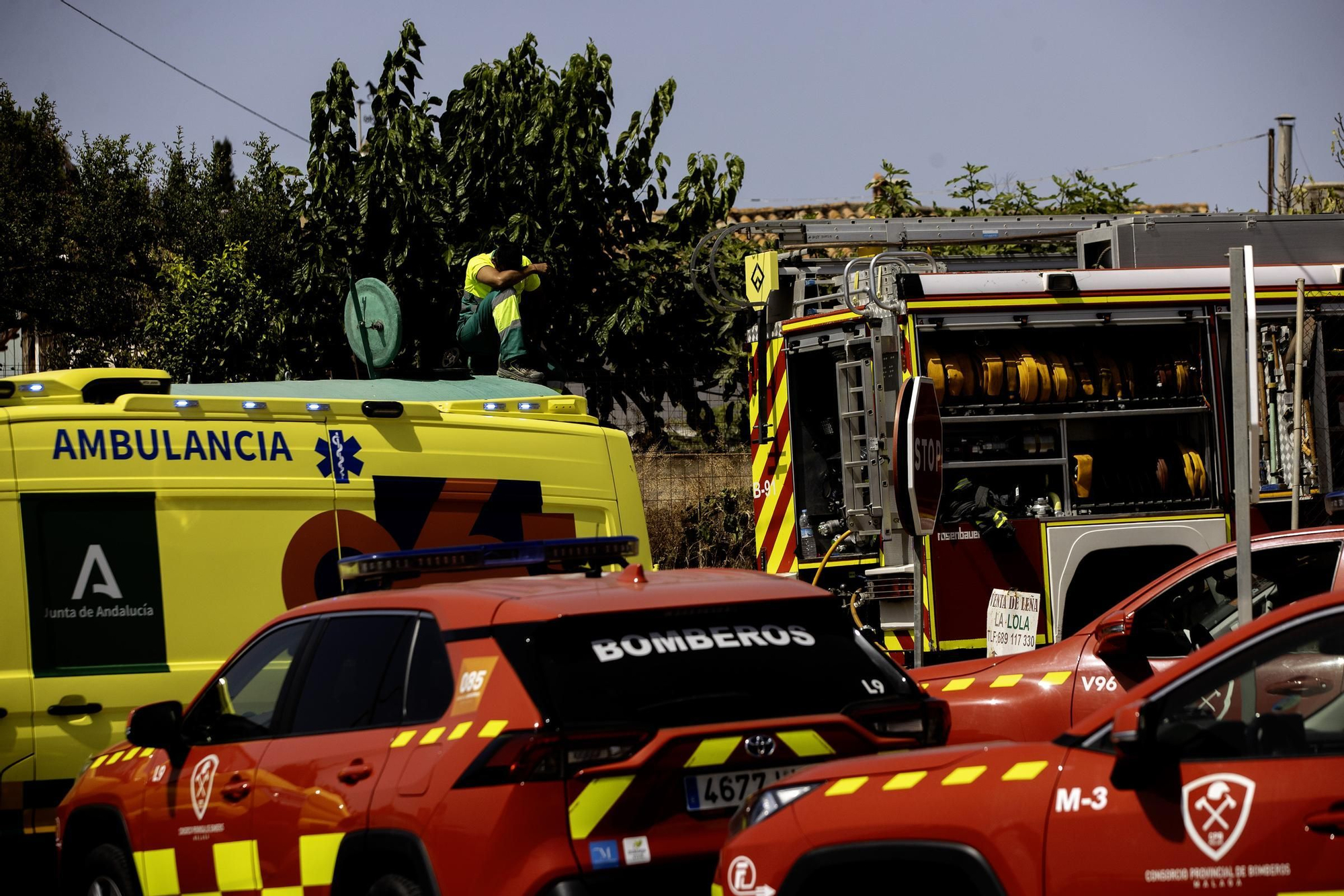 Un incendio calcina dos naves de una explotación de subtropicales en Vélez