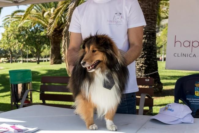 Feria de Mascotas de Maspalomas 2016