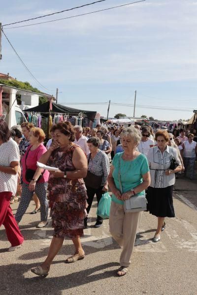 Fiesta de la Trashumancia en San Vitero