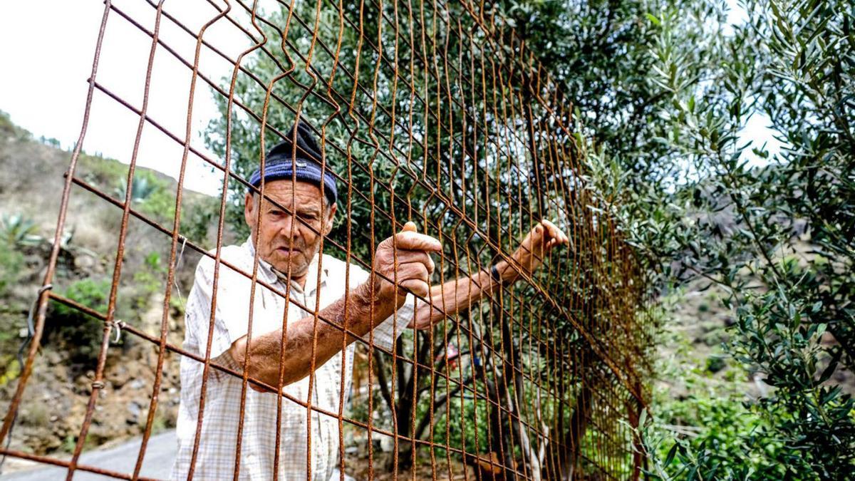 José Moreno Álamo repara una valla de su finca en la localidad de Barranco Hondo. | JOSÉ CARLOS GUERRA