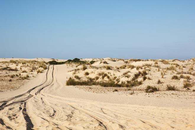 Dunas, Doñana