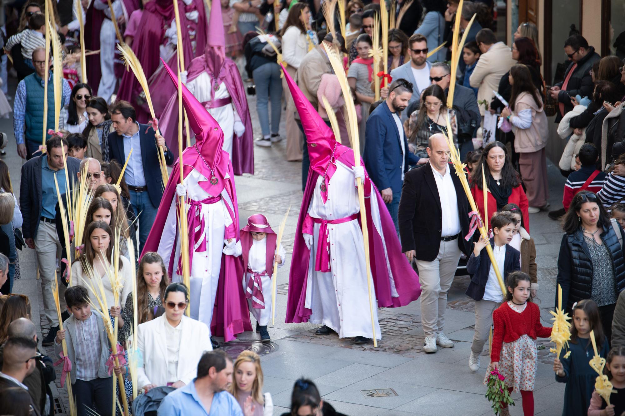 ZAMORA. DOMINGO DE RAMOS