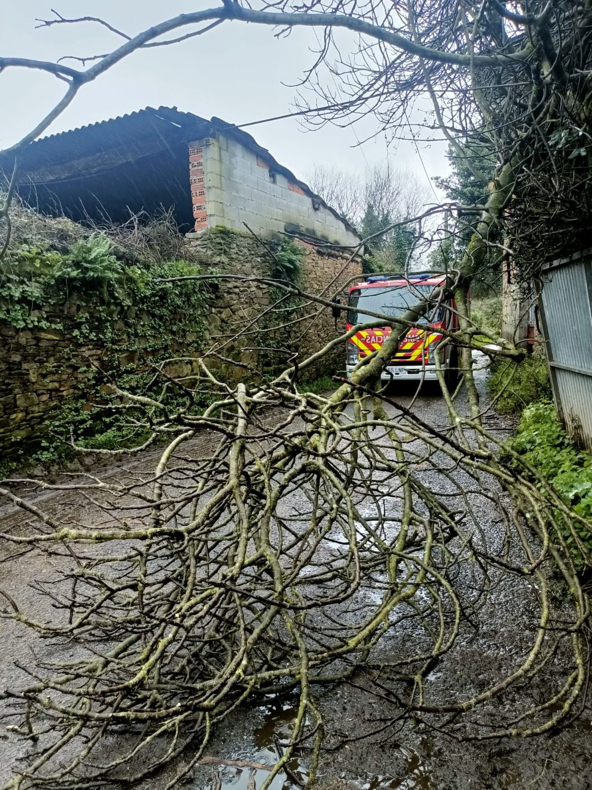 Reguero de incidencias en Lalín por el temporal