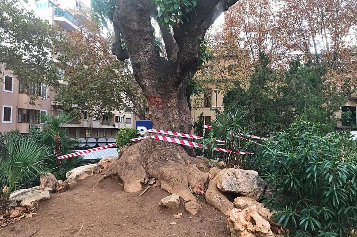 Quejas por el mal estado de la plaza de los Patines