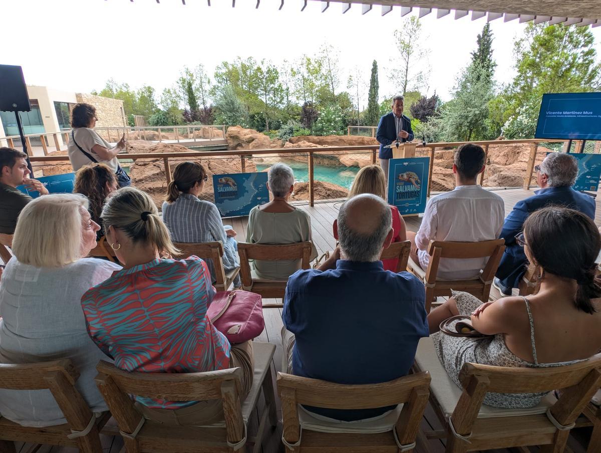 GALERÍA I La presentación de la nueva campaña para rescatar tortugas marinas, en imágenes