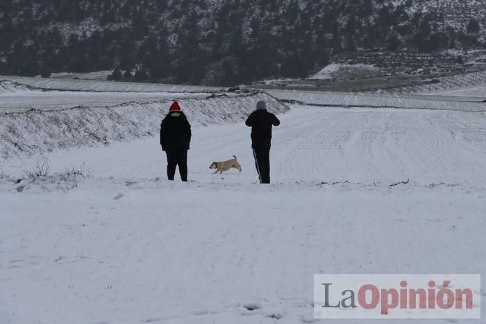 Nieve en Coy y Avilés (Lorca)