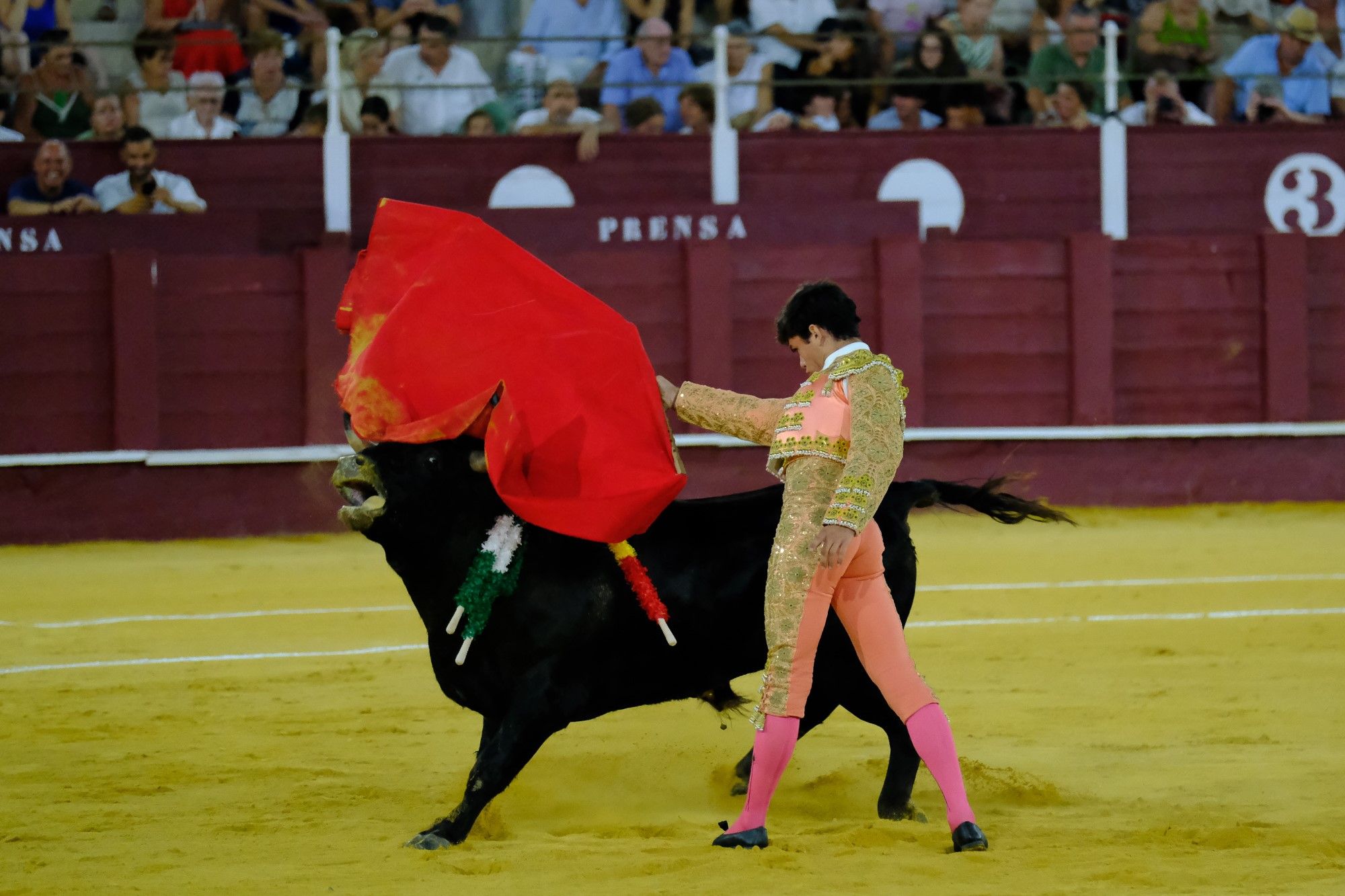 Toros en la Feria | Novena corrida de abono en La Malagueta: 3ª Semifinal de las Escuelas Taurinas