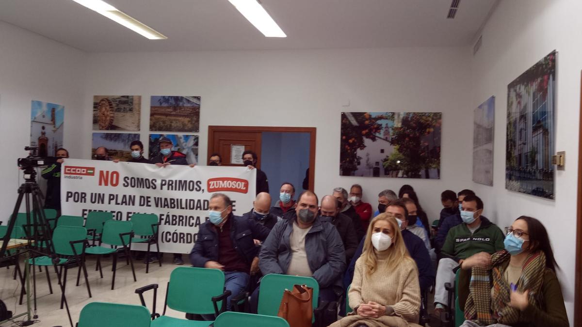 Protesta de los trabajadores de Zumosol en el Pleno de Palma.