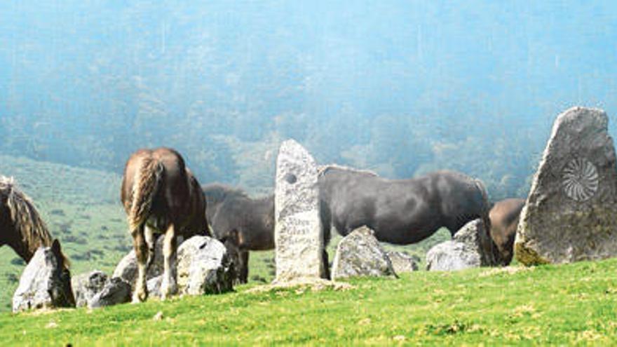 Caballos percherones pastan en libertad en el Pirineo navarro.