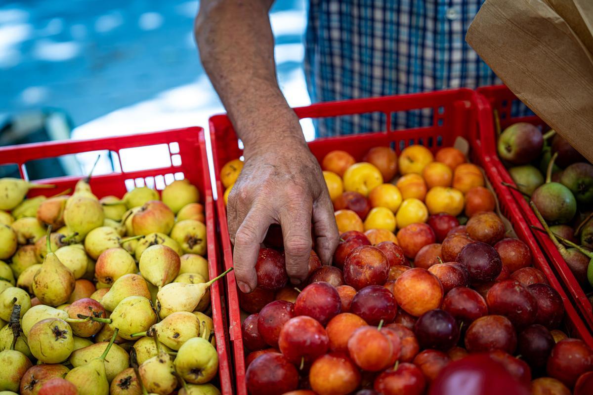 Experts proposen crear un centre públic d’aliments frescos al Besòs davant l’augment del consum d’ultraprocessats