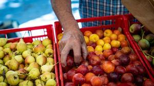 Experts proposen crear un centre públic d’aliments frescos al Besòs davant l’augment del consum d’ultraprocessats