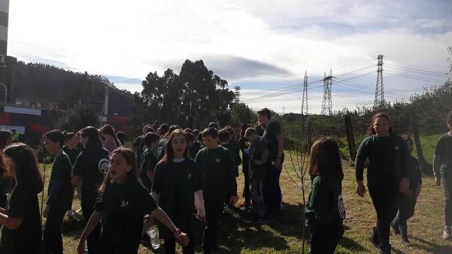 Alumnos de colegios de Candás plantan árboles en Aboño