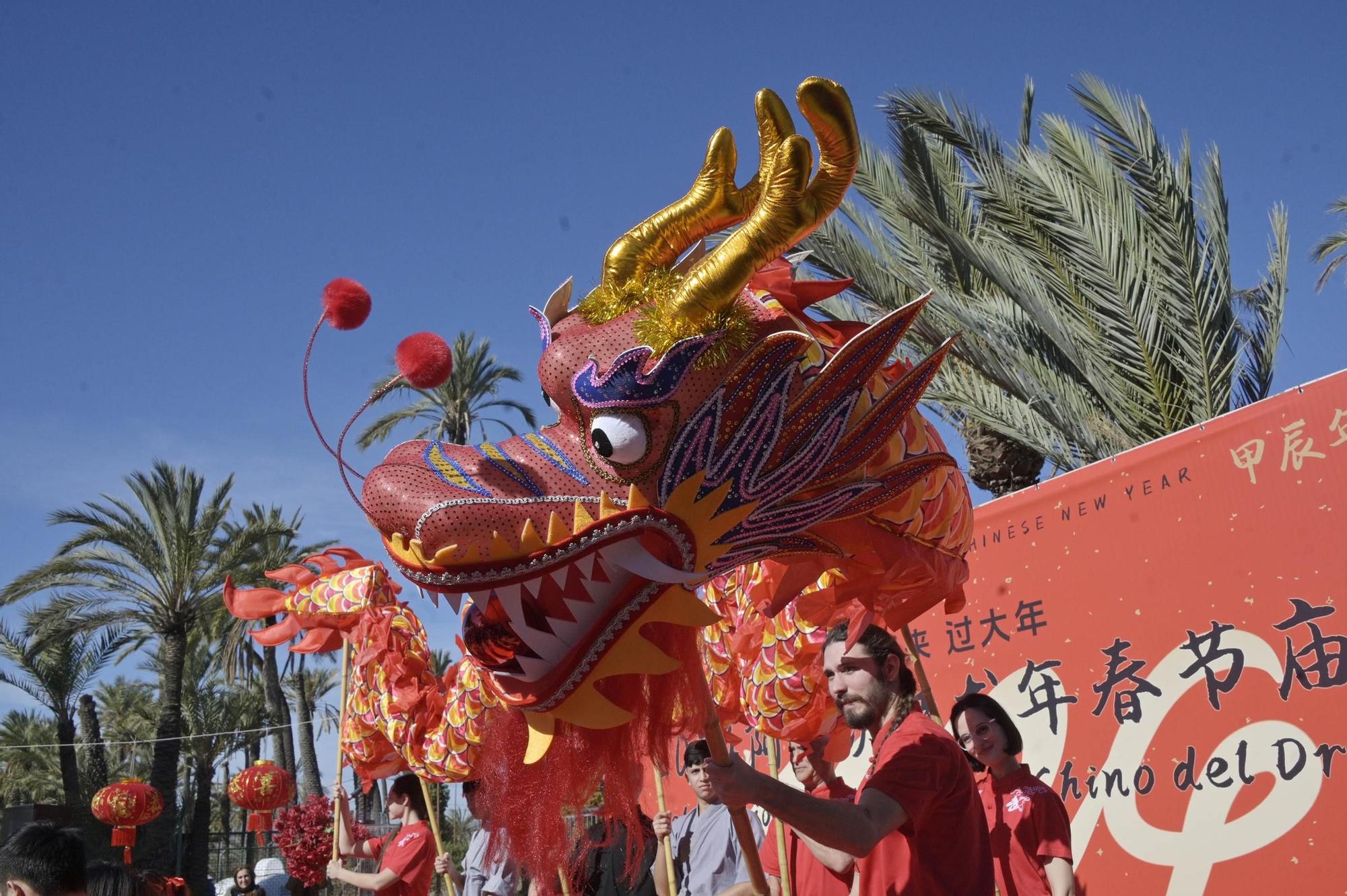 La comunidad china exhibe tradición en Elche por el Año del Dragón