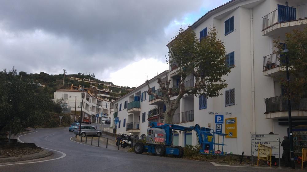 Poda de plataners a Cadaqués