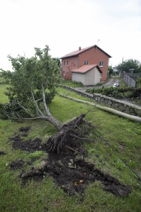 Los resultados del tornado en Ballota