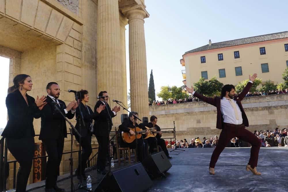 Flamenco para celebrar 5 años de los Patios como Patrimonio de la Humanidad