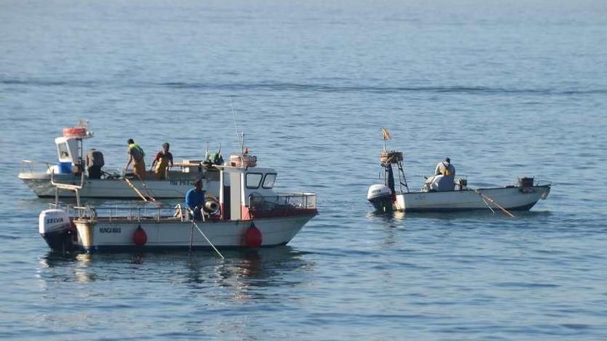 Mariscadores a flote en acción